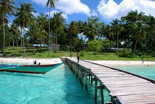 Masinam Island, palm beach