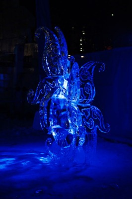 DSC_0726_ice