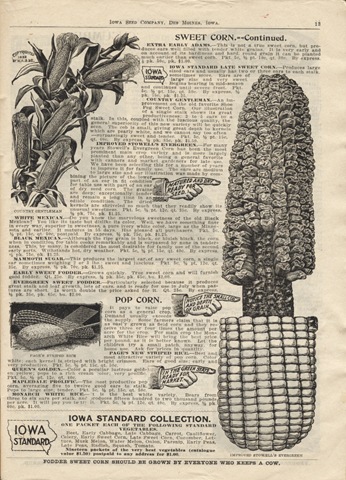 [seed catalog corn[2].jpg]