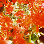 04-R1-11A.jpg