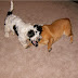 New Years / HPIM0090.JPG