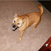 New Years / HPIM0091.JPG