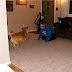 New Years / HPIM0093.JPG