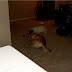 New Years / HPIM0095.JPG