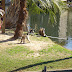 Gulf Shores Trip / DSC02198.JPG