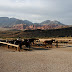 Horseback Ride / _MG_8476.JPG