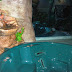 Halloween 2007 / DSC02402.JPG