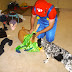 Halloween 2007 / DSC02406.JPG