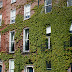 Dublin, Day 2 / _MG_0655.JPG