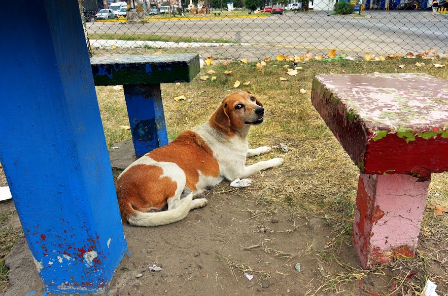 DSC_3888.JPG