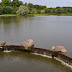 DSC_1117.JPG, 2009.09 Беларусь