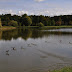 DSC_1133.JPG, 2009.09 Беларусь