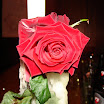DSC05828.jpg.JPG