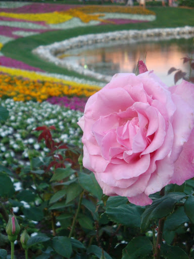 DSC05268.JPG