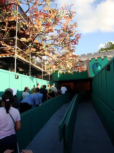 DSC05895.JPG