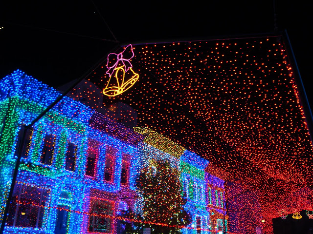 DSC07151.JPG