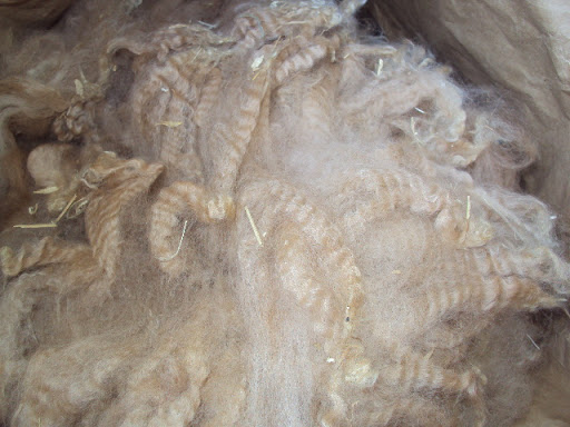http://lh4.ggpht.com/_Rgoz6PI1vp0/S83JjN0aZPI/AAAAAAAADDo/tbtnU0wN4ws/DSC01227.JPG