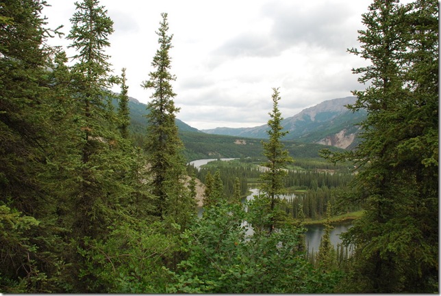 06-27-09 Horseshoe Lake Trail 003