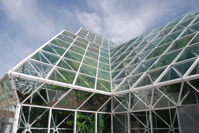 [10-25-10 Biosphere 2 112[3].jpg]