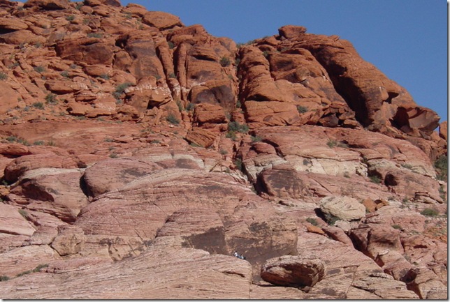 11-26-10 Red Rock Canyon (47)