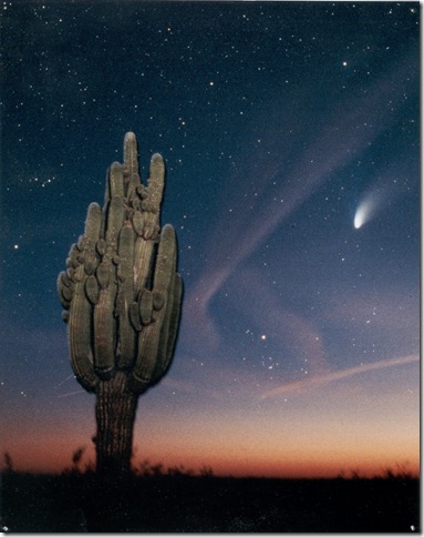 Hale-Bopp Big Saguaro