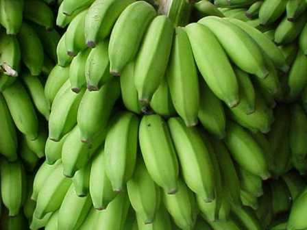 [Banana[6].jpg]