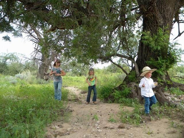 [DSCN20042.jpg]