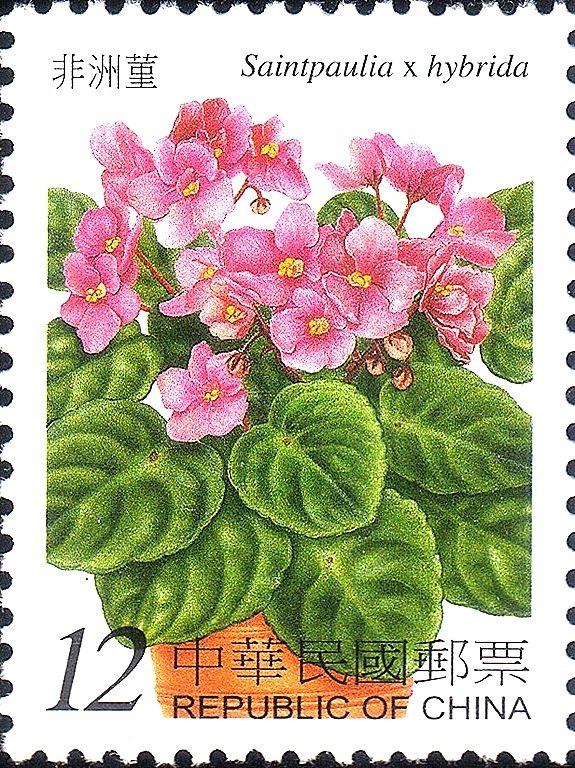 [flower-china-2b30.jpg]