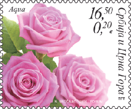 marka_flora1 marka_flora1