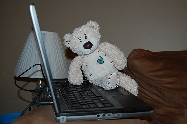 [teddybad3[3].jpg]