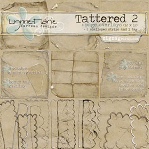 favreau_tattered2_page_folder