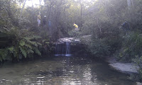 IMAG0068.jpg Photo