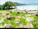 Calaguas Islands, Camarines Norte, Philippines