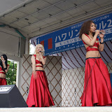 Хаврын баяр 2008
