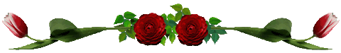 1894109xenafbu781 1894109xenafbu781