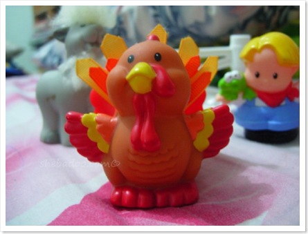 The turkey