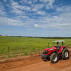 Massey191.jpg