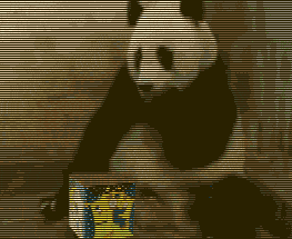 http://lh4.ggpht.com/_RvyCuujfKm8/S7Py9t7CY_I/AAAAAAAAAI4/MV0VzNCwrzw/s400/Gatomaluco10.png