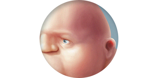 Dumpy man