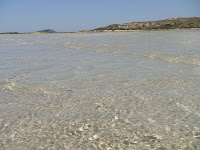 DSC00338.JPG