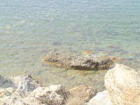 DSC00315.JPG