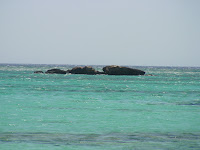DSC00347.JPG