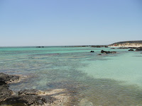 DSC00353.JPG