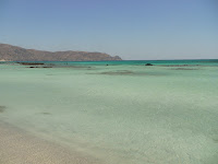 DSC00370.JPG