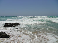 DSC00129.JPG