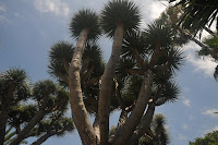 LAU_3540 2.JPG