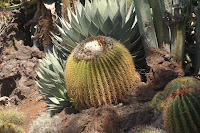 LAU_4441 2.JPG