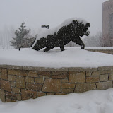 Snow storm