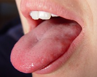 [tongue[4].jpg]