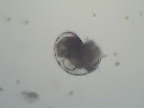Img0239.JPG